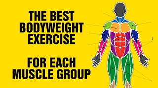 The Best Bodyweight Exercise For Each Muscle Group  Calisthenic Exercises [upl. by Burris339]