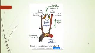 Compensatory Mechanism of shock  FOR MLT [upl. by Etnuad]