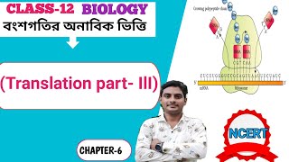 Translation in Bengali Part III Elongation of polypeptide in Bengali [upl. by Debbee599]