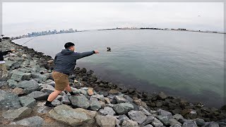 Teaching My Friend How to Fish  SPOTTED BAY BASS BONITO amp HALIBUT in San Diego Bay [upl. by Brock]