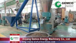 Pellet mill for animal feed pellets manufacturing to be your feeding solutions [upl. by Ertnom]