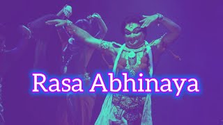 Rasa Abhinaya by Hritaal Dance Centre [upl. by Ellehsim441]