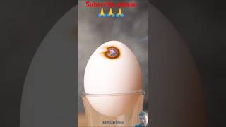 science brainexperimented egg shorts facts science experiments video ytshorts [upl. by Ahsiuqet]