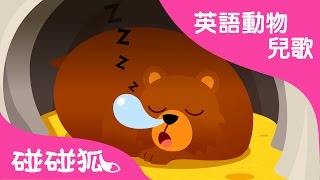 Hibernation Song  英語動物兒歌  碰碰狐！兒童兒歌 [upl. by Gwenn]