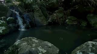 Cascades Whakanewha Regional Park Waiheke Island Aotearoa  New Zealand [upl. by Dobson]