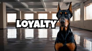 Top 5 Reasons to Own a Doberman [upl. by Myron535]