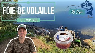 Techniques de pêche du silure au foie de volaille  Montage fond et flotteur [upl. by Hnil]