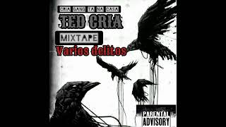 Ted Cria  Varios delitos Feat Jovem Salt 77 Real Freeza PKX [upl. by Tneicniv]