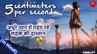 quot5 Centimeters Per Secondquot EXPLAINED in Hindi  Byôsoku 5 senchimêtoru Makoto Shinkais Anime [upl. by Adimra]