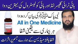 Holly Homeopathic Medicine  Triglycerides Kaise Kam Kare in Hindi  Cholesterol Ka ilaj [upl. by Abra551]