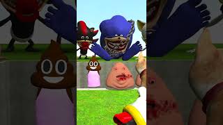 BIG HOLE SONIC SHADOW AMY ROSE ROUGE MONSTERS TAPES FAMILY VS POU BOUS REVENGE in GMOD  shorts [upl. by Regni]