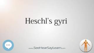 Heschls gyri Anatomy Named After People 🔊 [upl. by Dat]