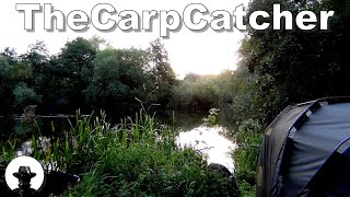 Linford Lakes  Alder Part three  Carp Fishing [upl. by Anitnelav]