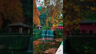 This is one of the Mughal gardens in kashmir love nature kashmir [upl. by Ivie]