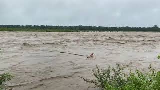 Flood at Rapti River Chitwan [upl. by Noired738]