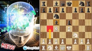 Evans Gambit on The Highest Level  AlphaZero vs Stockfish [upl. by Houghton]