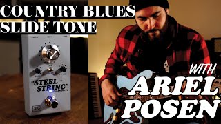 Fat Slide Tones with Ariel  Steel String MKII Demo [upl. by Malamut]