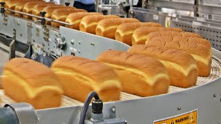 How Millions Of Bread are Made In A Huge Factory 🍞🏭 [upl. by Ezitram]