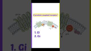 Types of Receptor  B Pharmacy  shorts youtubeshorts [upl. by Sang]