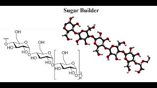 Lecture4Hyperchem Sugar Builder [upl. by Eimrej761]