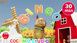 Bingo  More Nursery Rhymes amp Kids Songs  Cocomo Studio [upl. by Shatzer]