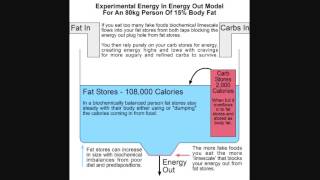 Why I Didnt Get Fat Eating 5000 Calories A Day Part 1 [upl. by Nattirb871]