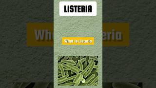 What is Listeria Bacteria Symptoms listeria outbreak [upl. by Haziza956]