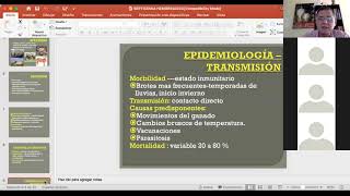 VET112quotBquot SEPTICEMIA HEMORRÁGICA clse7 PARAINFLUENZA BOVINA III DR JAIME GUZMAN ENFERM INFECCIOSA [upl. by Lutim]