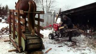 Draft Horse Powered Treadmill woodsplitter 014AVI [upl. by Janel319]