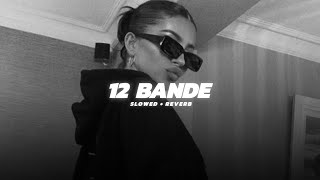 12 bande slowed  reverb  Varina brar  Slowwwzone [upl. by Liba]