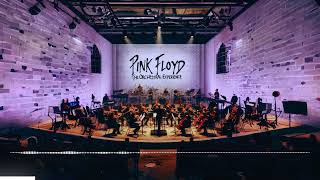 Pink Floyd  The Wall The Orchestral Experience [upl. by Seward]