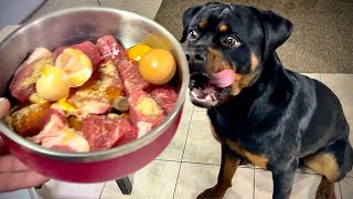 Unbelievable Rottweiler Puppy Goes RAW – You Wont Believe What Happens Next [upl. by Narib]