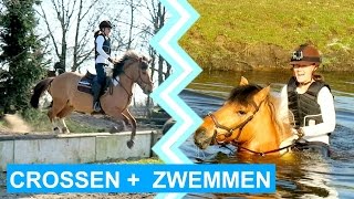 VLOG 19 Crosstraining Lammert Laseur  swimming  felinehoi [upl. by Llewellyn920]