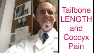 Tailbone LENGTH and Coccyx Pain [upl. by Elaine]