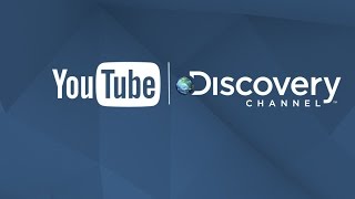 Bienvenue sur la chaîne YouTube de Discovery Channel [upl. by Tearle]