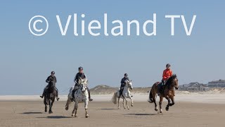 Paardrijden op strand Vlieland [upl. by Ynor]