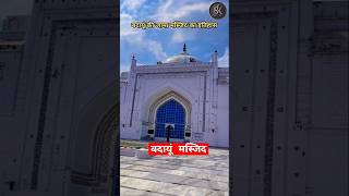 Jama Masjid Budaun History बदायूं की जामा मस्जिद shorts [upl. by Harat723]