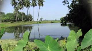 Se Chole Gelo Theke Jabe  Kabir Sumanকবীর সুমন  LIVE [upl. by Hembree]