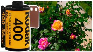 Kodak Ultramax 400  Lowlight amp Daylight  4K [upl. by Blessington]