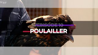 ADOCULTURE  WEBISODE 10  LE POULAILLER [upl. by Danas]