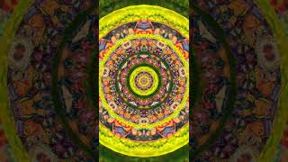 computerarts kaleidoscope kaleidoscopic psychedelicart digitalart trippyart trippyartist [upl. by Seuqramed122]