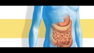 The Science Behind a Crohns Disease Treatment [upl. by Kcin656]