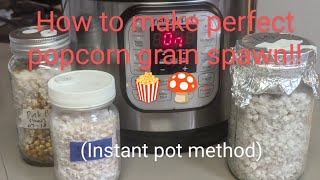 Popcorn Grain Spawn  How to Prep and Sterilize Popcorn for the Perfect Spawn instant pot method [upl. by Nos855]