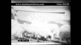 Shepherd in Ruthenian Czechoslovakia 1920s Archive film 95539 [upl. by Neillij]