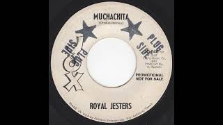 Royal Jesters  Muchachita [upl. by Darby]