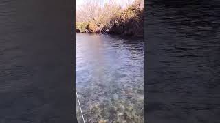 Taupo Fly Fishing Winter Season 2022 part 2 [upl. by Atiugram]