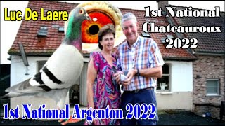 CHAMPION 1st National Chateauroux  1st National Argenton vs 33393 birds is Luc De Laere Anzegem [upl. by Carlotta592]