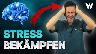 Stress Distress Bei diesen 5 Anzeichen läuten meine Alarmglocken oft unterschätzt [upl. by Erbes]