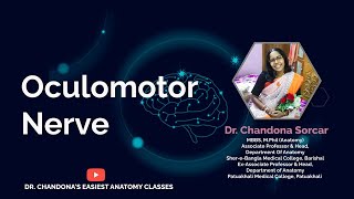 Lecture on Oculomotor Nerve [upl. by Akinod]