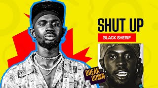 Black Sherif Say Make You People “Shut Up” [upl. by Ostraw]